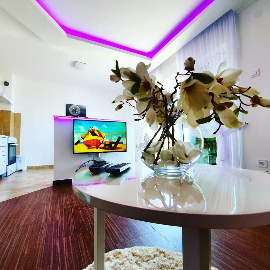 Apartament Panorama Petrovac Zewnętrze zdjęcie