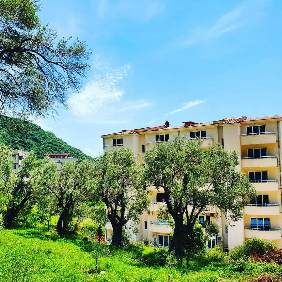 Apartament Panorama Petrovac Zewnętrze zdjęcie