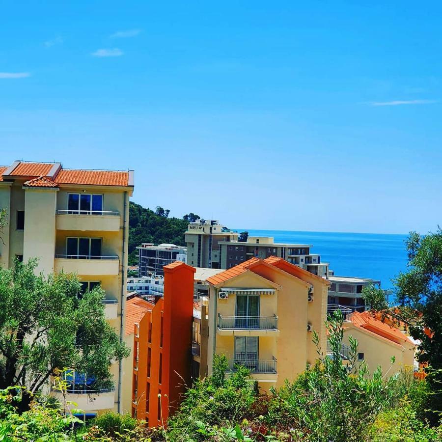 Apartament Panorama Petrovac Zewnętrze zdjęcie